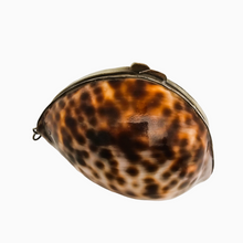 Load image into Gallery viewer, Tabatière ou boîte à chapelet en coquillage de cauri cerclé de métal argenté, fin XIXe