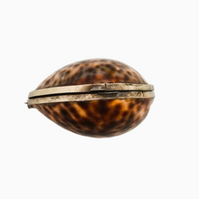 Load image into Gallery viewer, Tabatière ou boîte à chapelet en coquillage de cauri cerclé de métal argenté, fin XIXe