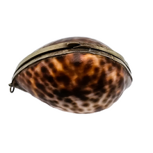 Load image into Gallery viewer, Tabatière ou boîte à chapelet en coquillage de cauri cerclé de métal argenté, fin XIXe