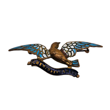 Charger l'image dans la galerie, Broche souvenir « Chemin des Dames » – oiseau en émail cloisonné, vers 1920 Le Charme des Violettes - Brocante en ligne
