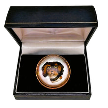 Charger l'image dans la galerie, Broche de style Crystal Essex – Épagneul peint sous verre – Dos en nacre, vers 1890-1910 Le Charme des Violettes - Brocante en ligne