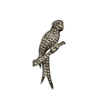 Afbeelding in Gallery-weergave laden, Broche Art déco en forme de perroquet en métal argenté et marcassites, années 1930