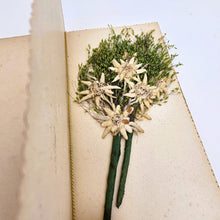 Load image into Gallery viewer, Carnet de Souvenir en velours décoré de coquelicots, vers 1890-1910
