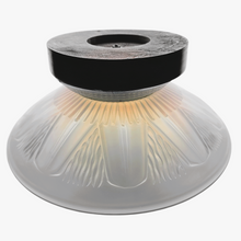 Load image into Gallery viewer, Edmond Etling (attribué à), Coupe Art déco en verre opalescent, socle en métal chromé et palissandre, années 1925-1930