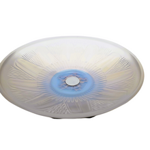 Load image into Gallery viewer, Edmond Etling (attribué à), Coupe Art déco en verre opalescent, socle en métal chromé et palissandre, années 1925-1930