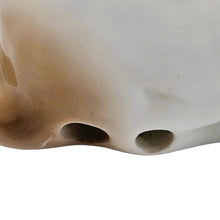 Load image into Gallery viewer, Lampe-brûle-parfum en porcelaine en forme de Beagle, années 1950 Le Charme des Violettes - Brocante en ligne