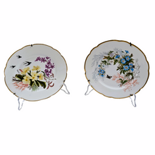 Charger l'image dans la galerie, CFH Haviland Limoges fin XIXème. Paire d'assiettes à suspendre à motifs de fleurs, hirondelles et papillons