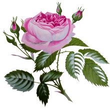 Load image into Gallery viewer, Plat à servir - plateau vintage en porcelaine aux roses, années 1970