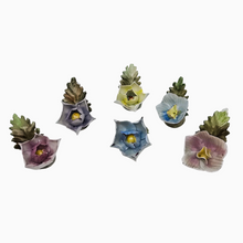 Afbeelding in Gallery-weergave laden, Suite de 6 porte-noms en forme de fleur en porcelaine anglaise, années 1950-1960