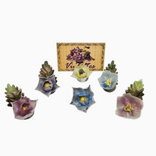 Afbeelding in Gallery-weergave laden, Suite de 6 porte-noms en forme de fleur en porcelaine anglaise, années 1950-1960