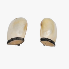 Load image into Gallery viewer, Paire de salière et poivrier en nacre  blanche et métal argenté, XXè siècle