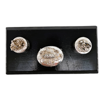 Load image into Gallery viewer, Silver Scenes, Suite de 3 petites boîtes anglaises vintage en étain plaqué argent, années 1980