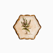 Load image into Gallery viewer, Vintage Florentine painted wood coasters, medicinal herbs series, 1970s