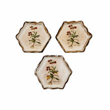Load image into Gallery viewer, Vintage Florentine painted wood coasters, medicinal herbs series, 1970s