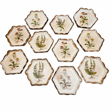 Load image into Gallery viewer, Vintage Florentine painted wood coasters, medicinal herbs series, 1970s