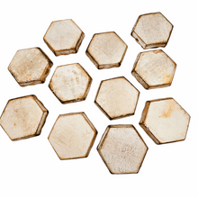 Load image into Gallery viewer, Vintage Florentine painted wood coasters, medicinal herbs series, 1970s