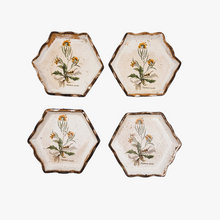 Load image into Gallery viewer, Vintage Florentine painted wood coasters, medicinal herbs series, 1970s