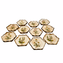 Load image into Gallery viewer, Vintage Florentine painted wood coasters, medicinal herbs series, 1970s