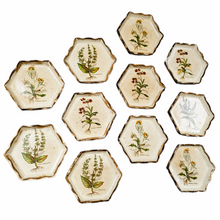 Load image into Gallery viewer, Vintage Florentine painted wood coasters, medicinal herbs series, 1970s