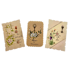 Load image into Gallery viewer, Souvenirs de communion, lot de 3 cartes en celluloïd festonné peintes à la main, années 1900