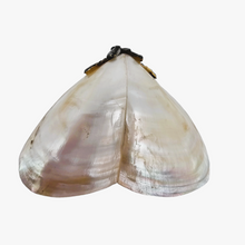 Load image into Gallery viewer, Tabatière victorienne en nacre blanche et métal argenté, fin XIXe