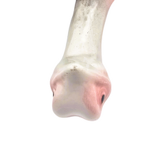 Charger l'image dans la galerie, Michel Caugant, Terrine zoomorphe en faïence en forme d'autruche, années 70 Le Charme des Violettes - Brocante en ligne