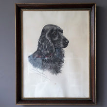 Load image into Gallery viewer, Léon Danchin. Lithographie signée : Portrait d'un cocker mâle. Le charme des violettes - Brocante en ligne