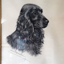 Load image into Gallery viewer, Léon Danchin. Lithographie signée : Portrait d'un cocker mâle. Le charme des violettes - Brocante en ligne