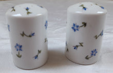 Charger l'image dans la galerie, Ensemble sel et poivre vintage en porcelaine blanche à petites fleurs bleues Le charme des violettes - Brocante en ligne