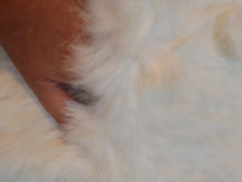 Afbeelding in Gallery-weergave laden, Echarpe vintage en lapin blanc Le charme des violettes - Brocante en ligne