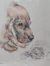 Charger l'image dans la galerie, Marie-Antoinette de Borchgrave d'Altena. Dessin original : le cocker et le lièvre. Le charme des violettes - Brocante en ligne