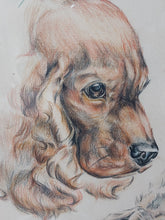 Charger l'image dans la galerie, Marie-Antoinette de Borchgrave d'Altena. Dessin original : le cocker et le lièvre. Le charme des violettes - Brocante en ligne
