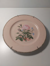 Charger l'image dans la galerie, Assiette de décoration vintage en porcelaine rose motif de roses Le charme des violettes - Brocante en ligne