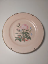 Charger l'image dans la galerie, Assiette de décoration vintage en porcelaine rose motif de roses Le charme des violettes - Brocante en ligne