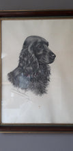Load image into Gallery viewer, Léon Danchin. Lithographie signée : Portrait d'un cocker mâle. Le charme des violettes - Brocante en ligne