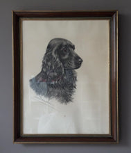 Load image into Gallery viewer, Léon Danchin. Lithographie signée : Portrait d'un cocker mâle. Le charme des violettes - Brocante en ligne