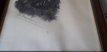 Load image into Gallery viewer, Léon Danchin. Lithographie signée : Portrait d'un cocker mâle. Le charme des violettes - Brocante en ligne