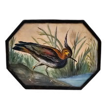 Afbeelding in Gallery-weergave laden, Aquarelle originale au vanneau huppé signée G.H., 1950
