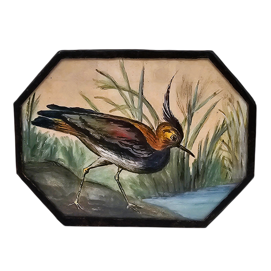 Aquarelle originale au vanneau huppé signée G.H., 1950
