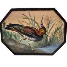 Afbeelding in Gallery-weergave laden, Aquarelle originale au vanneau huppé signée G.H., 1950
