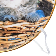 Load image into Gallery viewer, Assiette décorative Franklin Mint – &quot; Room for one more&quot; par Nancy Matthews, Edition limitée, années 1970-1990 Le Charme des Violettes - Brocante en ligne
