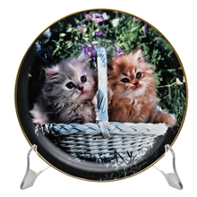 Load image into Gallery viewer, Assiette Franklin Mint, &quot;Side by Side&quot; par Nancy Matthews, Edition limitée, années 1970-1990 Le Charme des Violettes - Brocante en ligne
