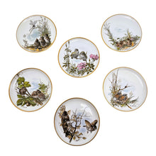 Load image into Gallery viewer, Suite Le Charme des Violettes - Brocante en ligne
