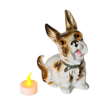 Charger l'image dans la galerie, Lampe-brûle-parfum en porcelaine en forme de Yorkshire Terrier, yeux en verre, années 1950 Le Charme des Violettes - Brocante en ligne
