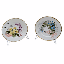 Load image into Gallery viewer, CFH Haviland Limoges late 19th century. Pair of hanging plates with flower, swallow and butterfly motifs
