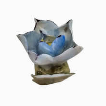 Load image into Gallery viewer, Suite de 6 porte-noms en forme de fleur en porcelaine anglaise, années 1950-1960
