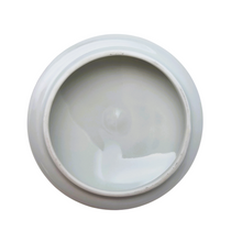 Load image into Gallery viewer, Limoges, Singen, Pot aux violettes en porcelaine, années 1960-1980
