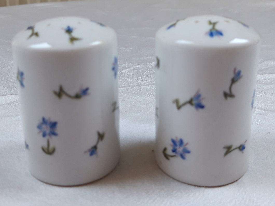 Ensemble sel et poivre vintage en porcelaine blanche à petites fleurs bleues