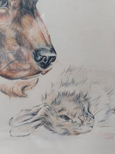 Afbeelding in Gallery-weergave laden, Marie Antoinette de Borchgrave d&#39;Altena. Originele tekening: de cocker-spaniël en de haas.
