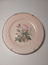 Load image into Gallery viewer, Vintage decorative plate in pink porcelain with a pattern of roses
